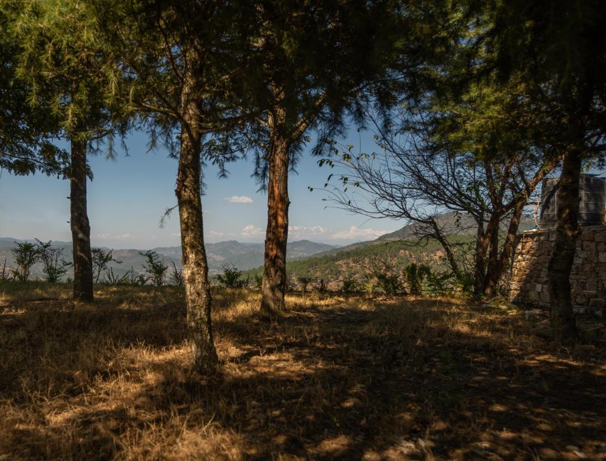 Blusalzz Homes - The Himalayan Bungalow, Almora - Uttarakhand Exteriér fotografie